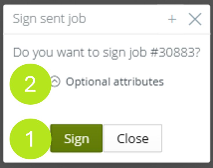 06a_Optional_attributes.png