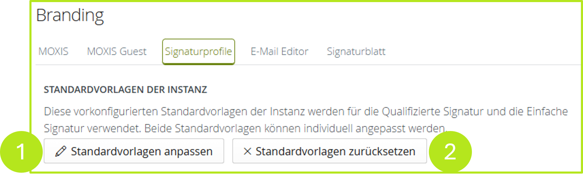 11a_Standardvorlage der Instanz.png